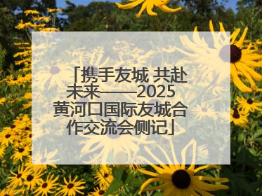 携手友城 共赴未来——2025黄河口国际友城合作交流会侧记