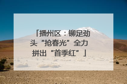 播州区：铆足劲头“抢春光”全力拼出“首季红”