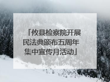 攸县检察院开展民法典颁布五周年集中宣传月活动