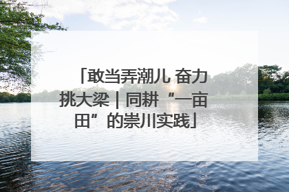 敢当弄潮儿 奋力挑大梁｜同耕“一亩田”的崇川实践