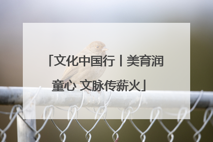 文化中国行丨美育润童心 文脉传薪火