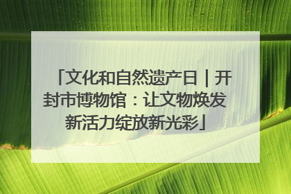 文化和自然遗产日｜开封市博物馆：让文物焕发新活力绽放新光彩