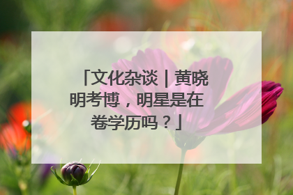 文化杂谈｜黄晓明考博，明星是在卷学历吗？