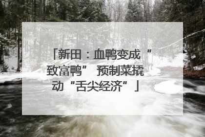 新田：血鸭变成“致富鸭” 预制菜撬动“舌尖经济”