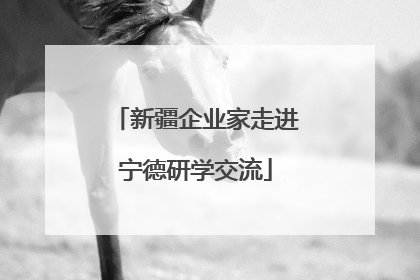 新疆企业家走进宁德研学交流