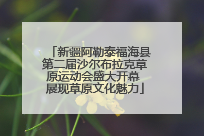 新疆阿勒泰福海县第二届沙尔布拉克草原运动会盛大开幕 展现草原文化魅力