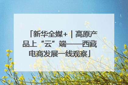 新华全媒+｜高原产品上“云”端——西藏电商发展一线观察