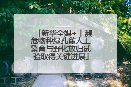 新华全媒+丨濒危物种绿孔雀人工繁育与野化放归试验取得关键进展