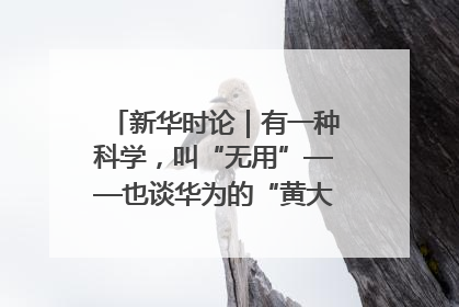 新华时论｜有一种科学，叫“无用”——也谈华为的“黄大年茶思屋”