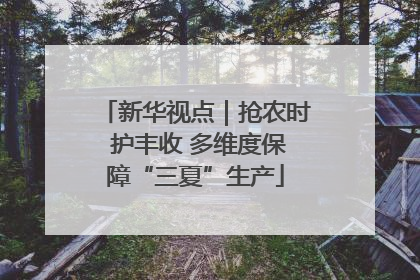 新华视点｜抢农时 护丰收 多维度保障“三夏”生产