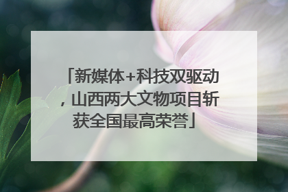 新媒体+科技双驱动，山西两大文物项目斩获全国最高荣誉