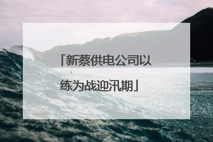 新蔡供电公司以练为战迎汛期