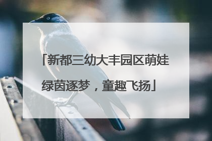 新都三幼大丰园区萌娃绿茵逐梦，童趣飞扬
