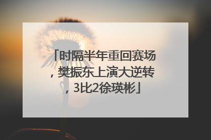 时隔半年重回赛场，樊振东上演大逆转，3比2徐瑛彬