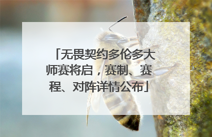 无畏契约多伦多大师赛将启，赛制、赛程、对阵详情公布