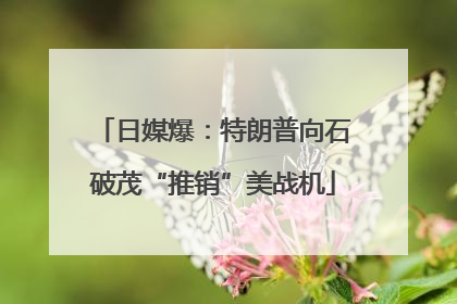 日媒爆：特朗普向石破茂“推销”美战机