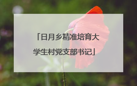 日月乡精准培育大学生村党支部书记