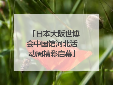 日本大阪世博会中国馆河北活动周精彩启幕