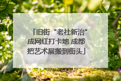 旧街“老社新治”成网红打卡地 成都把艺术展搬到街头