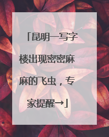 昆明一写字楼出现密密麻麻的飞虫，专家提醒→