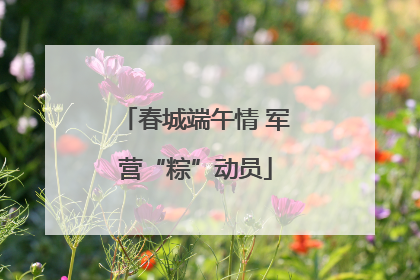 春城端午情 军营“粽”动员
