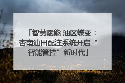 智慧赋能 油区蝶变：杏南油田配注系统开启“智能管控”新时代