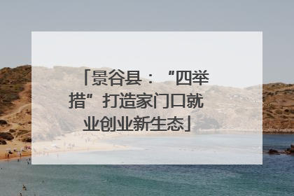 景谷县：“四举措”打造家门口就业创业新生态