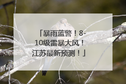 暴雨蓝警！8-10级雷暴大风！江苏最新预测！