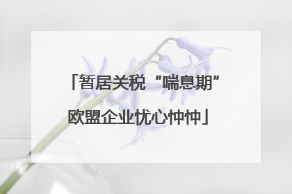 暂居关税“喘息期” 欧盟企业忧心忡忡