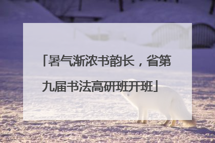 暑气渐浓书韵长，省第九届书法高研班开班