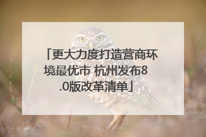 更大力度打造营商环境最优市 杭州发布8.0版改革清单