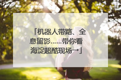 机器人带路、全息留影……带你看海淀超酷现场→