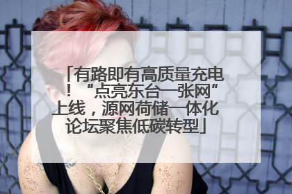 有路即有高质量充电！“点亮东台一张网”上线，源网荷储一体化论坛聚焦低碳转型