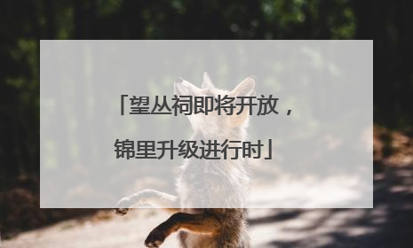望丛祠即将开放，锦里升级进行时