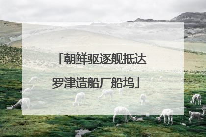 朝鲜驱逐舰抵达罗津造船厂船坞