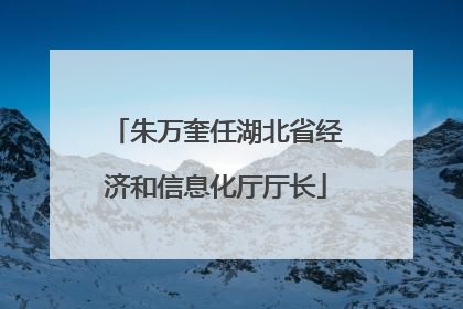 朱万奎任湖北省经济和信息化厅厅长
