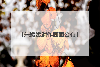 朱媛媛遗作画面公布