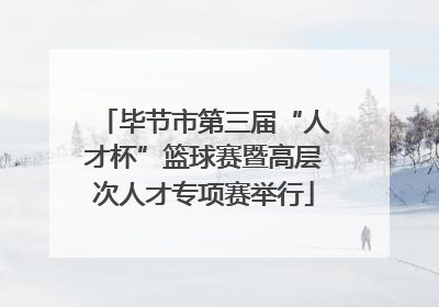 毕节市第三届“人才杯”篮球赛暨高层次人才专项赛举行