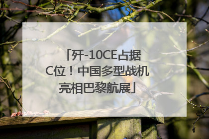 歼-10CE占据C位！中国多型战机亮相巴黎航展