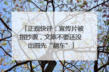 正观快评：宣传片被指抄袭，文旅不要还没出圈先“翻车”