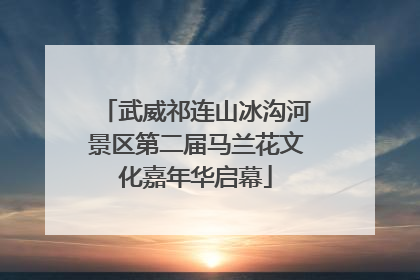 武威祁连山冰沟河景区第二届马兰花文化嘉年华启幕