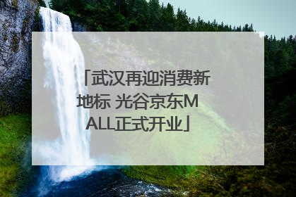 武汉再迎消费新地标 光谷京东MALL正式开业