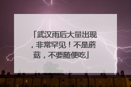 武汉雨后大量出现，非常罕见！不是蘑菇，不要随便吃