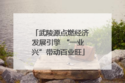 武陵源点燃经济发展引擎 “一业兴”带动百业旺