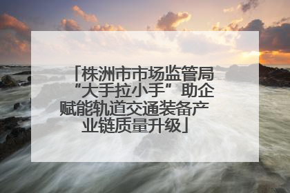 株洲市市场监管局“大手拉小手”助企赋能轨道交通装备产业链质量升级