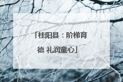 桂阳县：阶梯育德 礼润童心