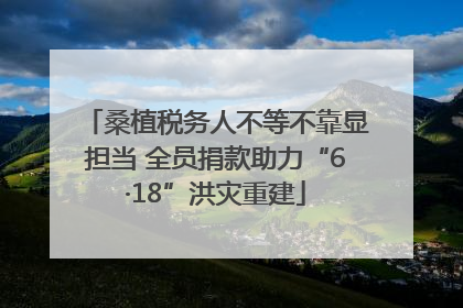 桑植税务人不等不靠显担当 全员捐款助力“6·18”洪灾重建