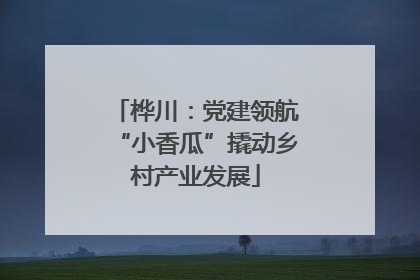 桦川：党建领航“小香瓜”撬动乡村产业发展