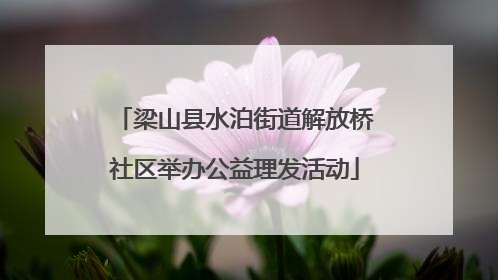 梁山县水泊街道解放桥社区举办公益理发活动