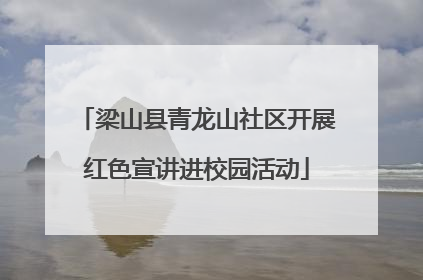 梁山县青龙山社区开展红色宣讲进校园活动
